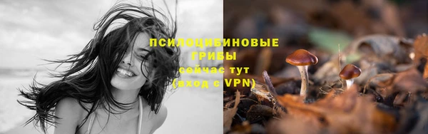сатива Балабаново