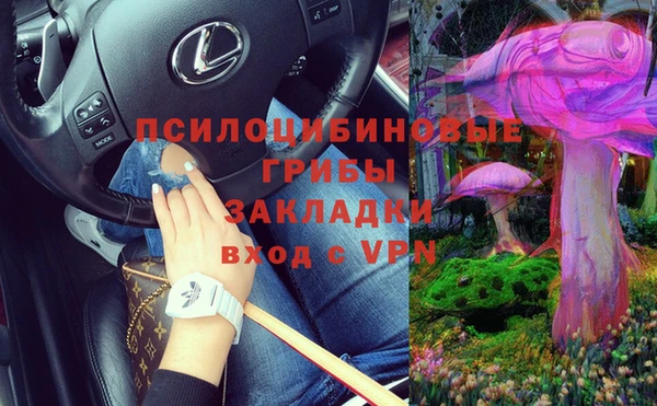 сатива Балабаново