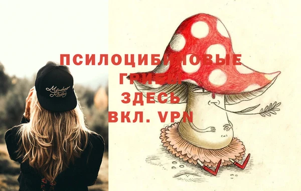 сатива Балабаново
